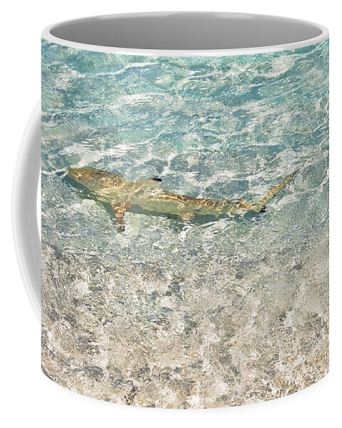 Jenny Rainbow Fine Art Photography Coffee Mug featuring the photograph Blacktip Reef Shark in Sparkling Water by Jenny Rainbow