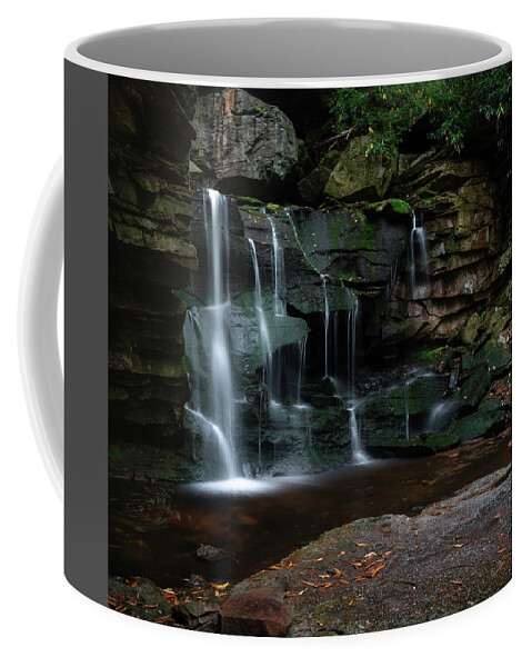Blackwater Falls; West Virginia; Waterfall; Water; Forest; Nature; Green; Brown; Hiking; Long Exposure Coffee Mug featuring the photograph Blackwater Falls by Larry Marshall