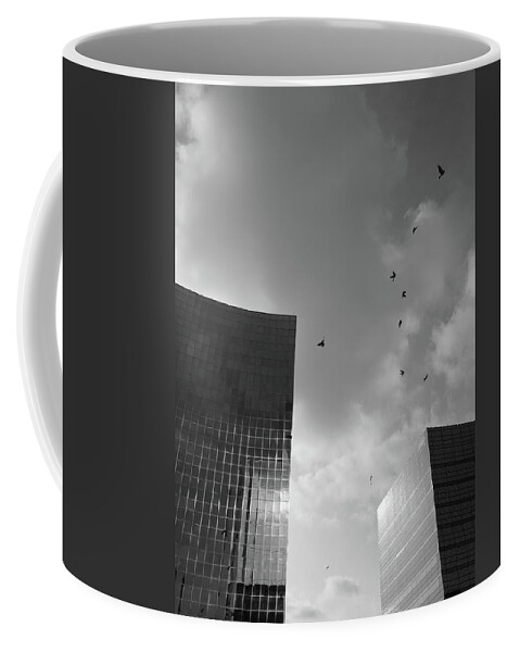 Black And White Coffee Mug featuring the photograph Blocks And Birds by Kreddible Trout