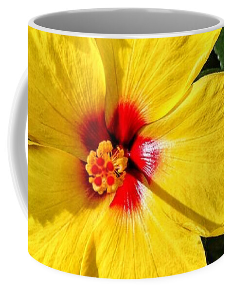 Flower Coffee Mug featuring the photograph Bloom and Shine by Portia Olaughlin
