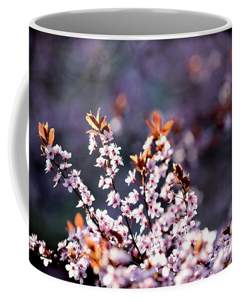 Cherry Blossoms Coffee Mug featuring the photograph Blooming Spring Blossoms by Lara Morrison