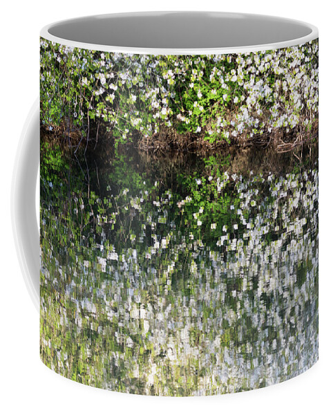  Coffee Mug featuring the photograph Blossom reflections in a river in Spring by Anita Nicholson