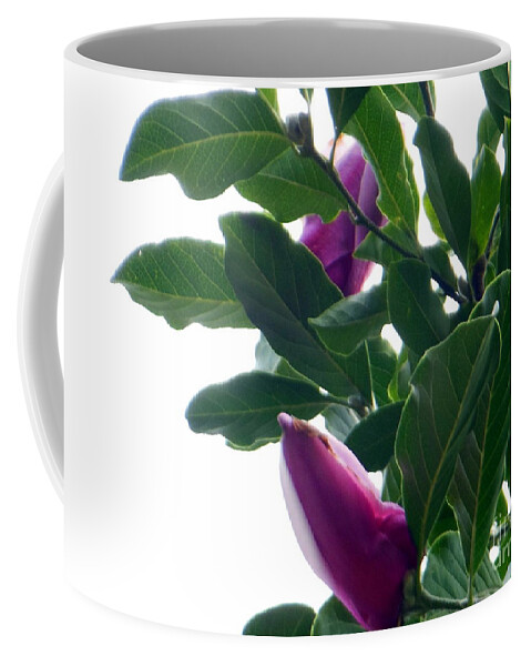 Blossoming Coffee Mug featuring the photograph Blossoming Magnolias by Rockin Docks