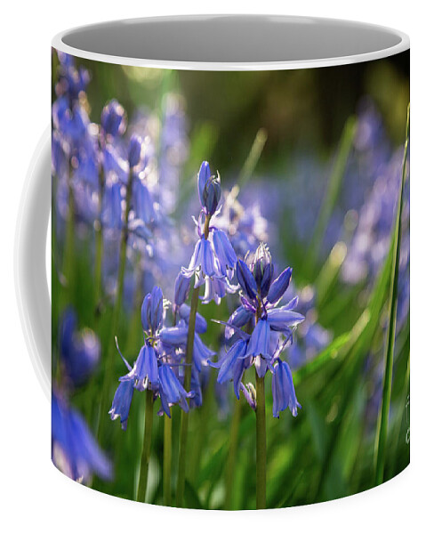 Grass Coffee Mug featuring the photograph Blue Bell by Kathy Strauss