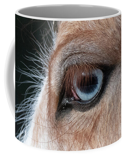 Cute Coffee Mug featuring the photograph Blue Eye 2 by Shannon Hastings