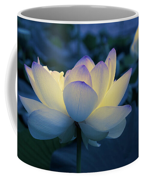 Flower Coffee Mug featuring the photograph Blue Hour by Pat Watson