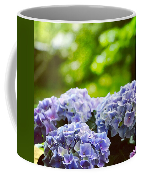Hydrangea Coffee Mug featuring the photograph Blue Hydrangea by Tom Johnson