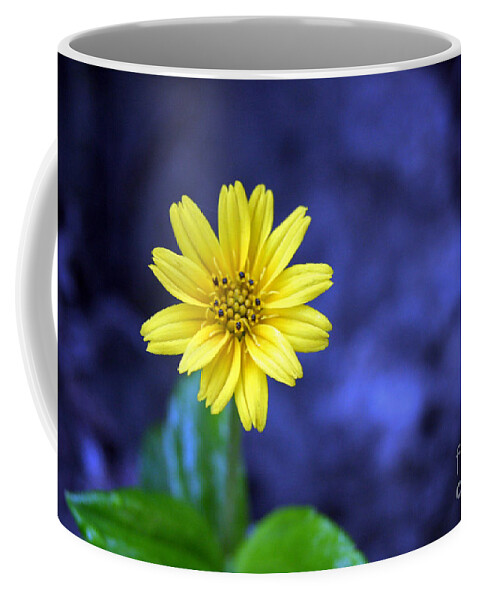 Flower Coffee Mug featuring the photograph Blue by Kathy Strauss
