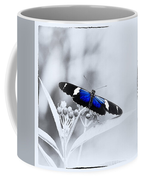 Butterfly Coffee Mug featuring the photograph Blue Postman Butterfly by Jaroslav Buna