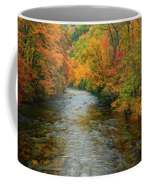 Blue Ridge Coffee Mug featuring the photograph Blue Ridge Autumn by Greg Norrell