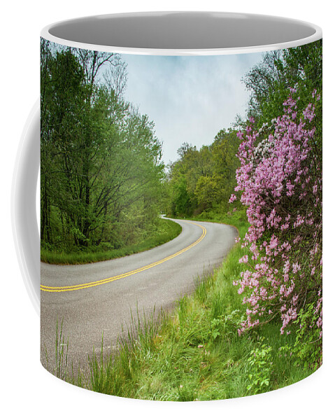 Asheville Coffee Mug featuring the photograph Blue Ridge Parkway in Bloom by Joye Ardyn Durham