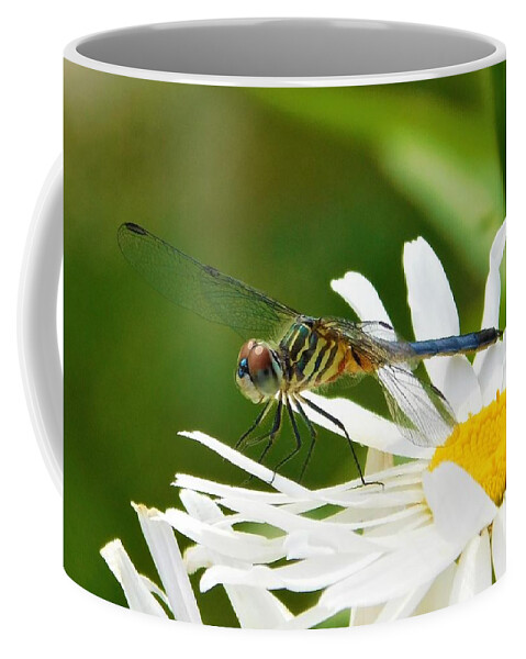 - Blue Tailed Dragonfly On A Daisy Coffee Mug featuring the photograph - Blue Tailed Dragonfly On a Daisy by THERESA Nye