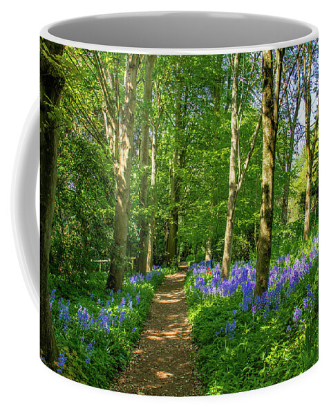 England Coffee Mug featuring the photograph Bluebell Walk by Roslyn Wilkins