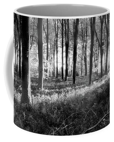 Bluebells Coffee Mug featuring the photograph Bluebell woods sunrise in spring black and white by Simon Bratt