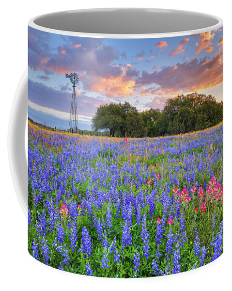 Atascosa County Coffee Mug featuring the photograph Bluebonnet and Windmill Sunrise in South Texas 3192 by Rob Greebon