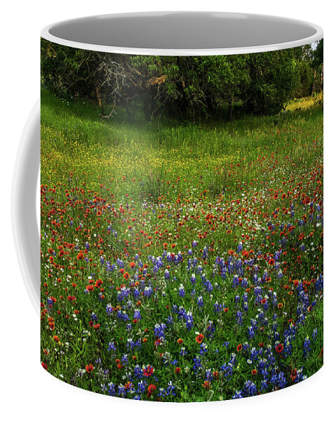 Texas Wildflowers Coffee Mug featuring the photograph Bluebonnet Glory by Johnny Boyd