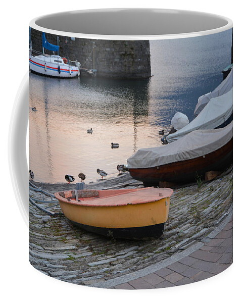 Argegno Coffee Mug featuring the photograph Boats and Ducks by Fabio Caironi