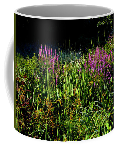 Bog Coffee Mug featuring the photograph Bog Garden by Mike McBrayer