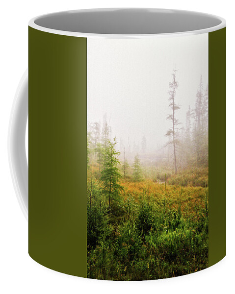 Autumn Coffee Mug featuring the photograph Boreal On County Road 7 by Cynthia Dickinson