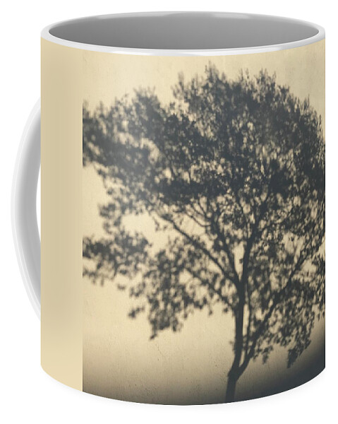 Tree Coffee Mug featuring the photograph Branches by Sarah Vandenbusch