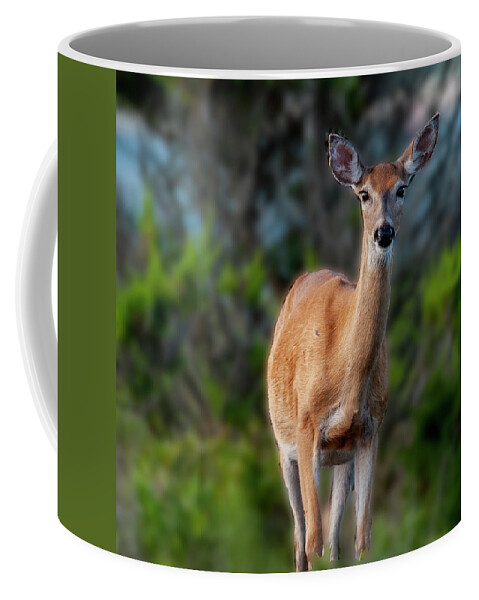 Wildlife Coffee Mug featuring the photograph Bright Eyes by Cathy Kovarik