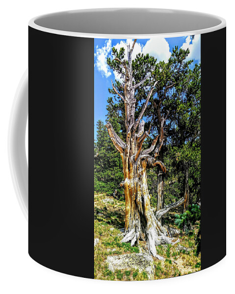 Tree Coffee Mug featuring the photograph Bristlecone1 2018 by Aaron Bombalicki