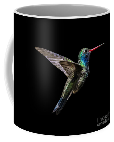 Hummingbird Coffee Mug featuring the photograph Broad-billed Hummingbird Flight by Lisa Manifold