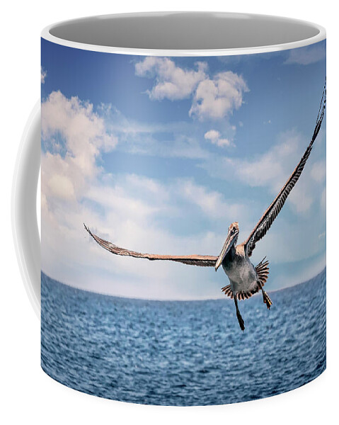 Brown Pelican Coffee Mug featuring the photograph Brown Pelican Number Three by Endre Balogh