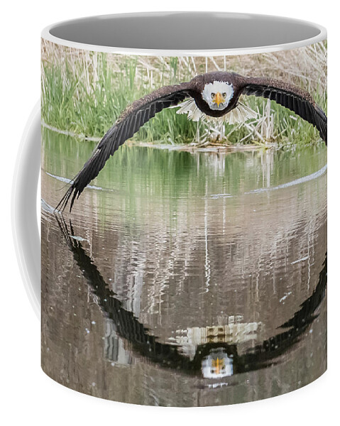 Eagle Coffee Mug featuring the photograph Bruce the Bald Eagle by Steve Biro