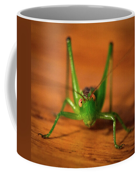 Bug Coffee Mug featuring the photograph Bug by Michelle Wittensoldner