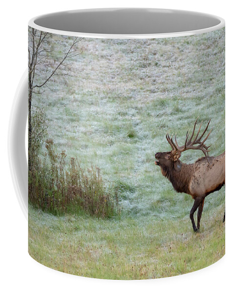 Elk Coffee Mug featuring the photograph Bugling Bull by Rod Best