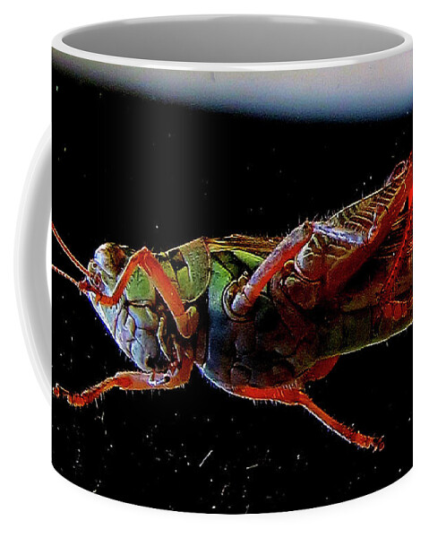 Insects Coffee Mug featuring the photograph Bugs From OuterSpace by Linda Stern
