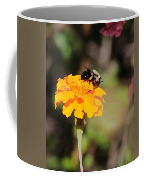 Bumble Bee Coffee Mug featuring the photograph Bumble Bee 3440 by John Moyer