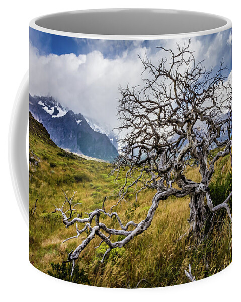 Tree Coffee Mug featuring the photograph Burnt tree, Torres del Paine, Chile by Lyl Dil Creations