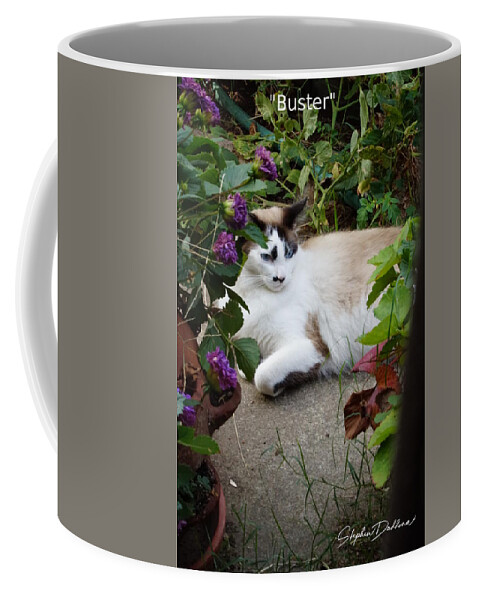 Cat Coffee Mug featuring the photograph Buster by Stephen Daddona