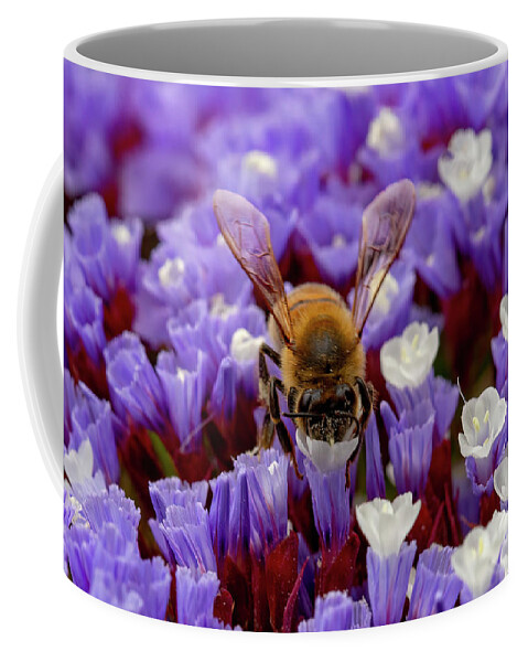 Bee Coffee Mug featuring the photograph Busy Bee at Lunch by Bj S