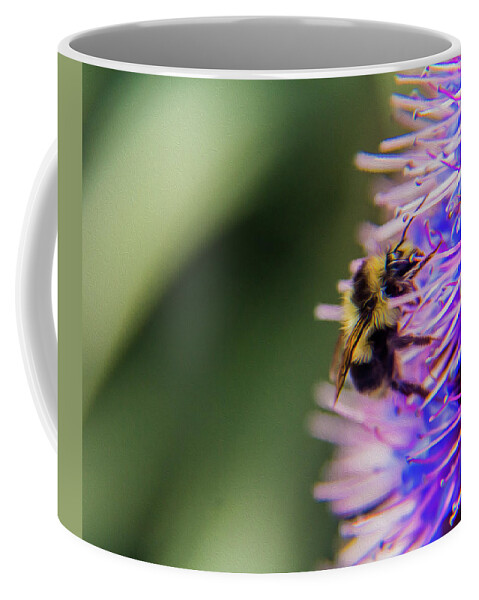 Bee Coffee Mug featuring the photograph Busy bee by Stuart Manning