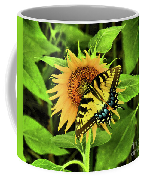 Swallowtail Butterflies Coffee Mug featuring the photograph Butterflies by Scott Cameron