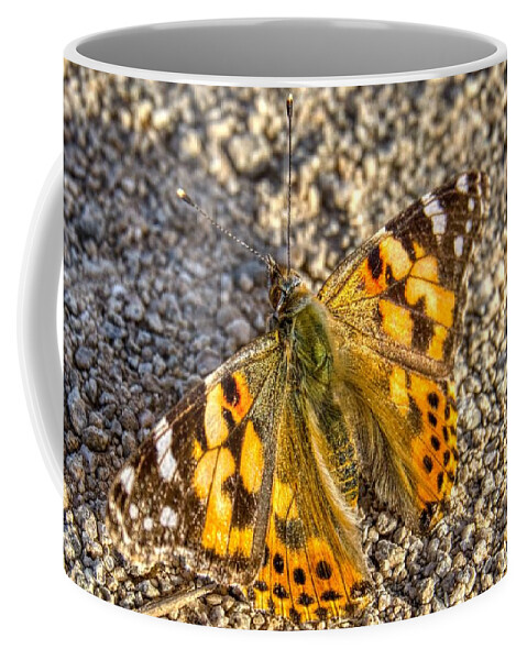 Sunsets Coffee Mug featuring the photograph Butterfly Beauty by Anthony Giammarino