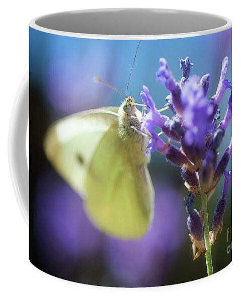 Macro Coffee Mug featuring the photograph Butterfly by Mariusz Talarek
