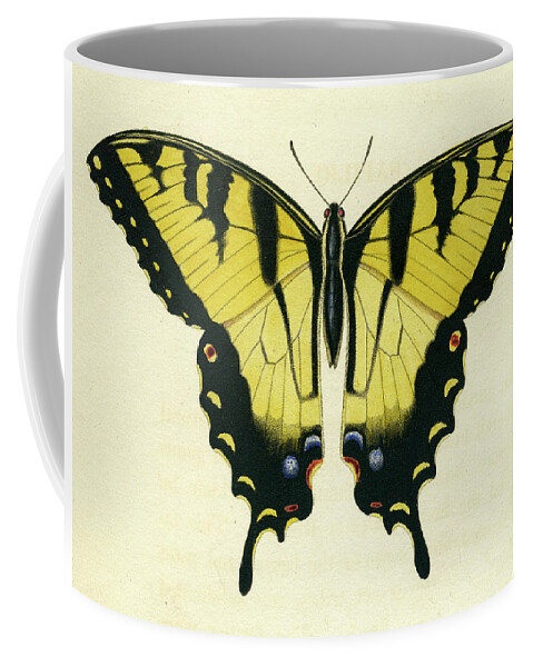 Entomology Coffee Mug featuring the mixed media Butterfly by Unknown