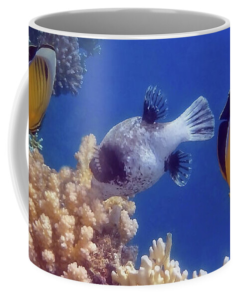Underwater Coffee Mug featuring the photograph Butterflyfish And Pufferfish Soft Underwater Photography by Johanna Hurmerinta