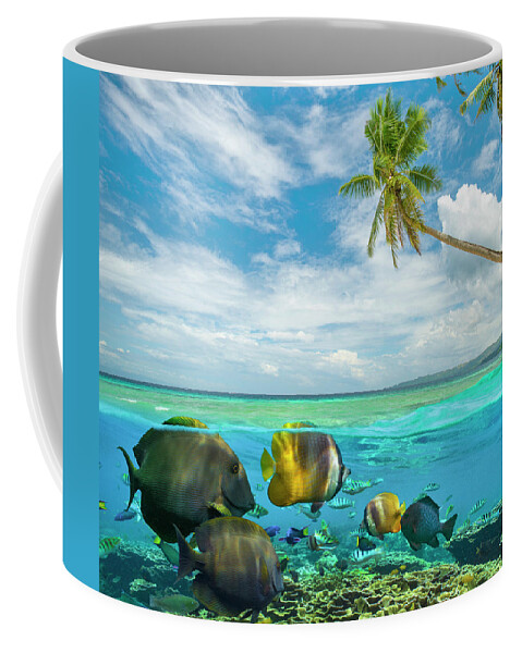 00586402 Coffee Mug featuring the photograph Butterflyfish, Siquijor Island, Philippines by Tim Fitzharris