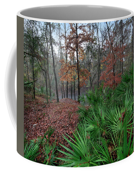 00544895 Coffee Mug featuring the photograph Cabbage Palms, Santa Fe River, Florida by Tim Fitzharris