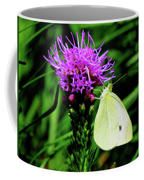 Cabbage White Butterfly Coffee Mug featuring the photograph Cabbage White and Purple by Linda Stern