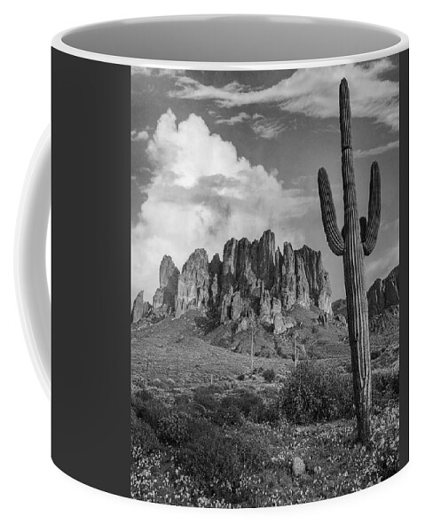 Disk1216 Coffee Mug featuring the photograph Cacti And Superstition Mts. by Tim Fitzharris