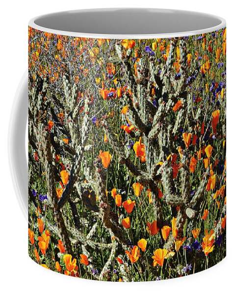 Poppies Coffee Mug featuring the photograph Cactus Poppies and Bluebells by Glenn McCarthy Art and Photography