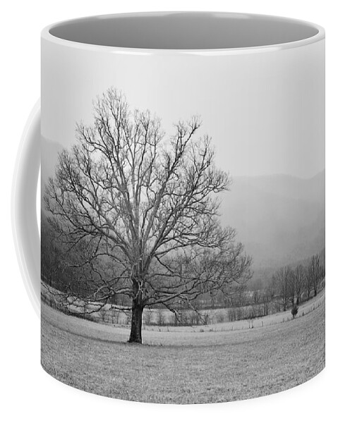 Cades Cove Coffee Mug featuring the photograph Cades Cove 1 by Nunweiler Photography