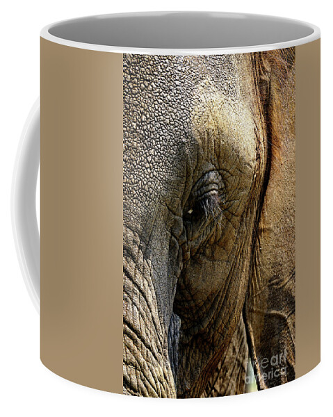 Africa Zambia Livingstone Elephant Café Coffee Mug featuring the photograph Cafe Elephant by Darcy Dietrich