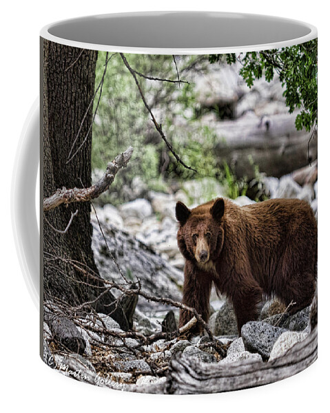 California Coffee Mug featuring the photograph California Black Bear by Martin Gollery